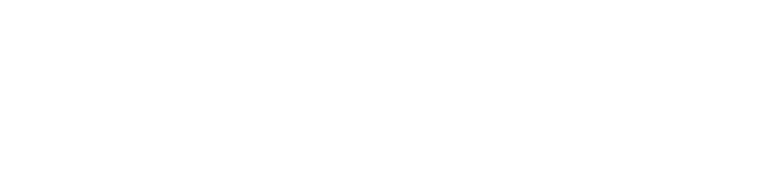 Horizontal logo about Mellone in white