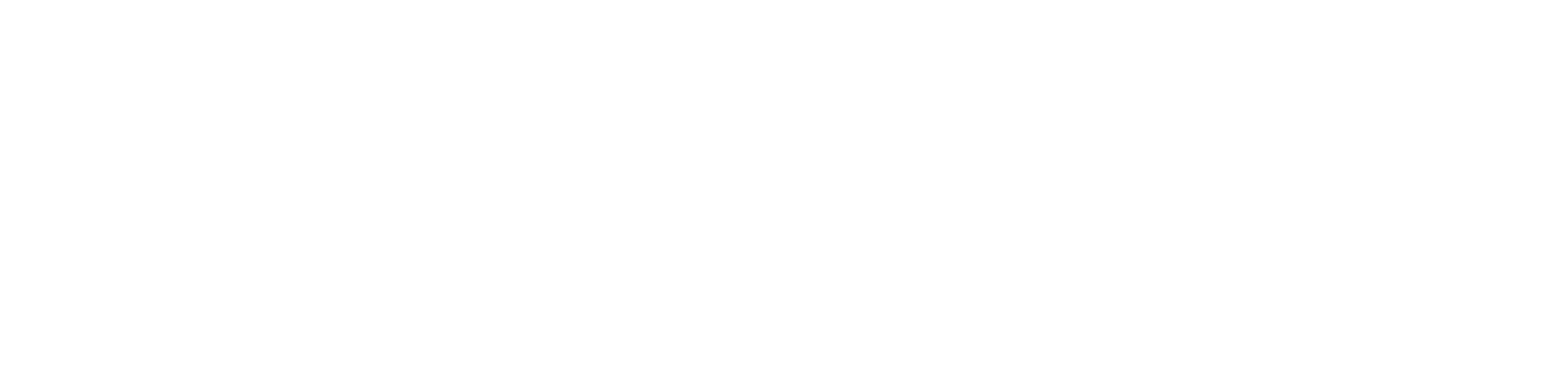Horizontal logo about Mellone in white