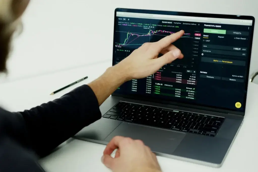 Professional analyzing test pln data on a computer, representing Mellonne's expertise in test plan implementation and automation